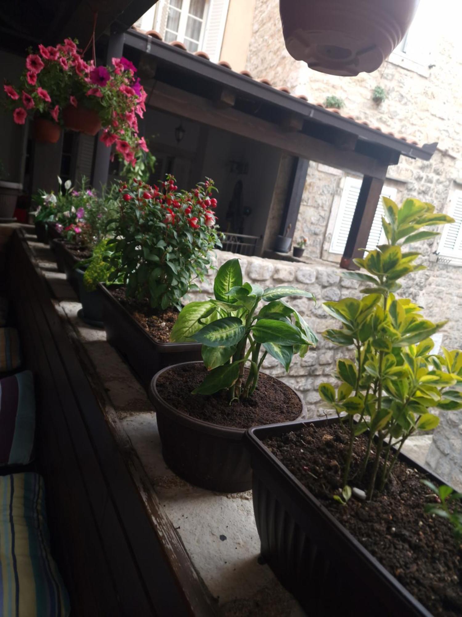 Rooms Dana Old Town Будва Екстер'єр фото