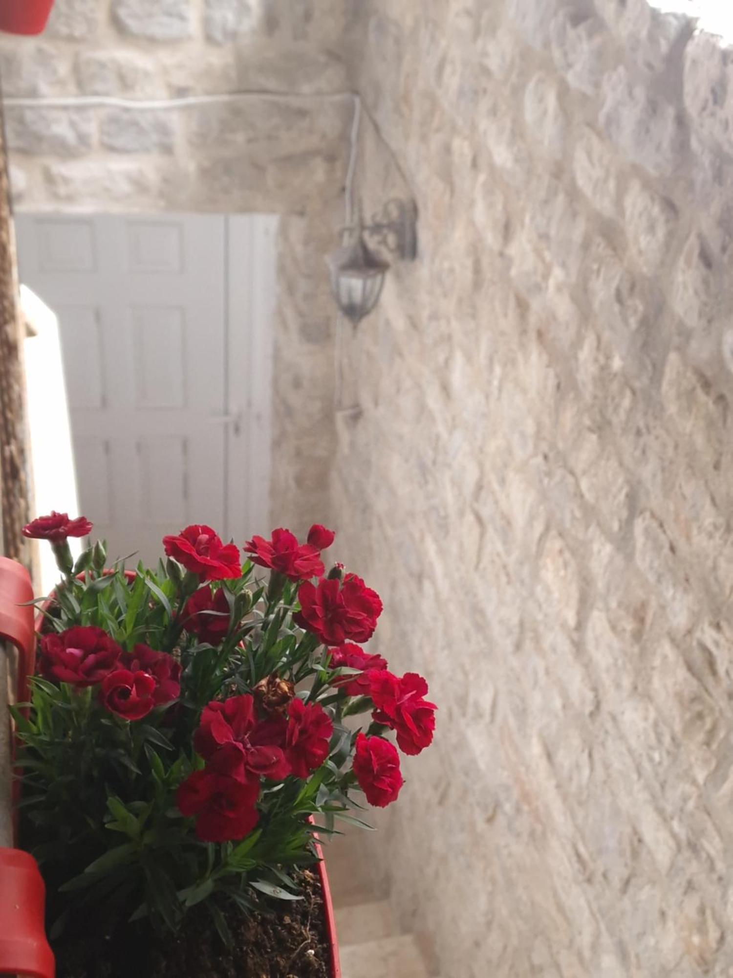 Rooms Dana Old Town Будва Екстер'єр фото